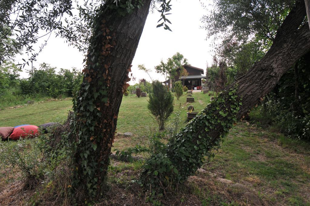 Agva Nehir Perisi Hotel Goce Rum bild